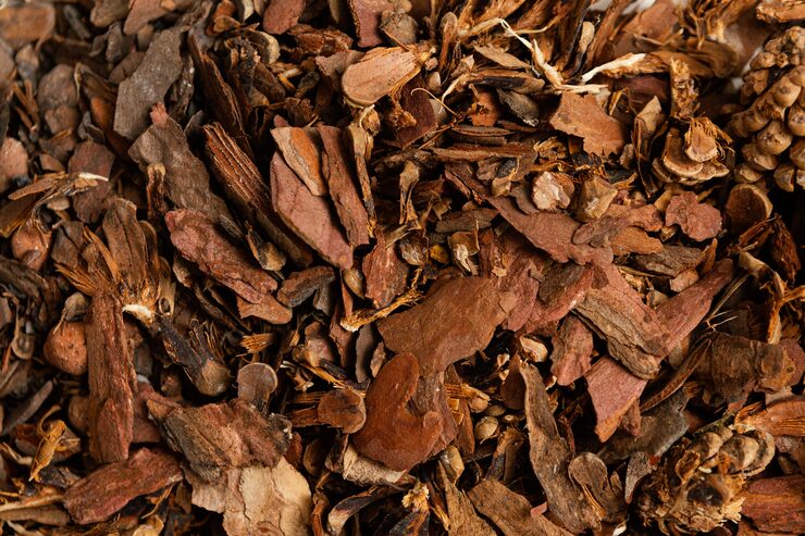 Arjuna bark